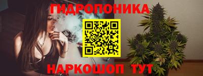 дживик Шелехов