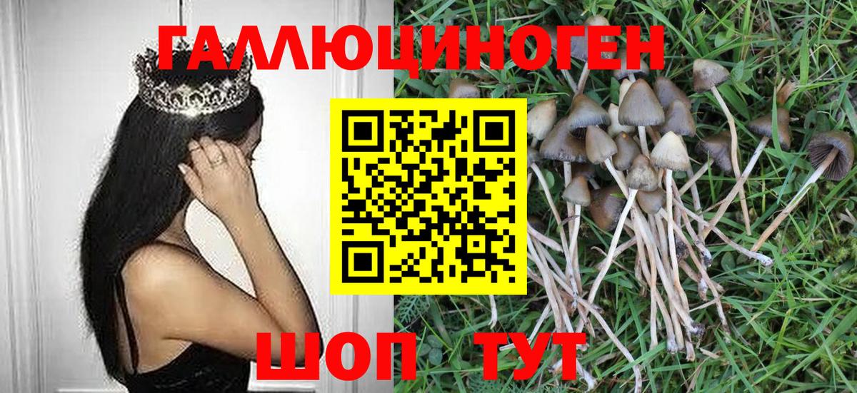 Кандалакша  Псилоцибиновые грибы мицелий  Вход с VPN 