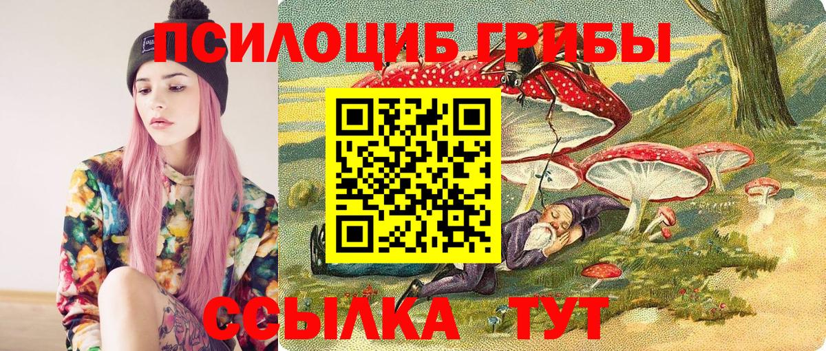 Галлюциногенные грибы GOLDEN TEACHER Кандалакша